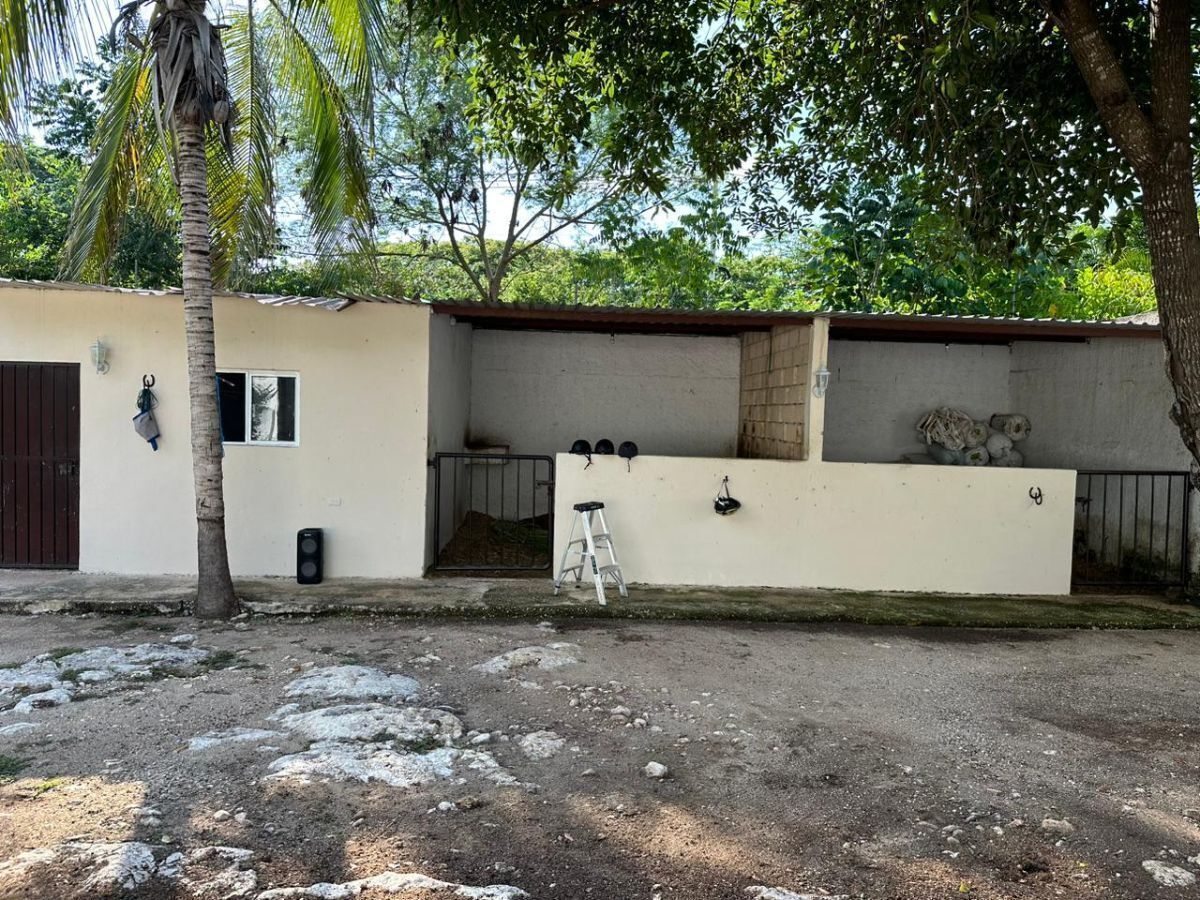 21 de 49