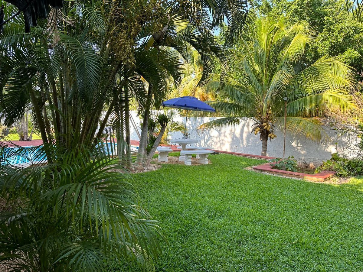 27 de 49