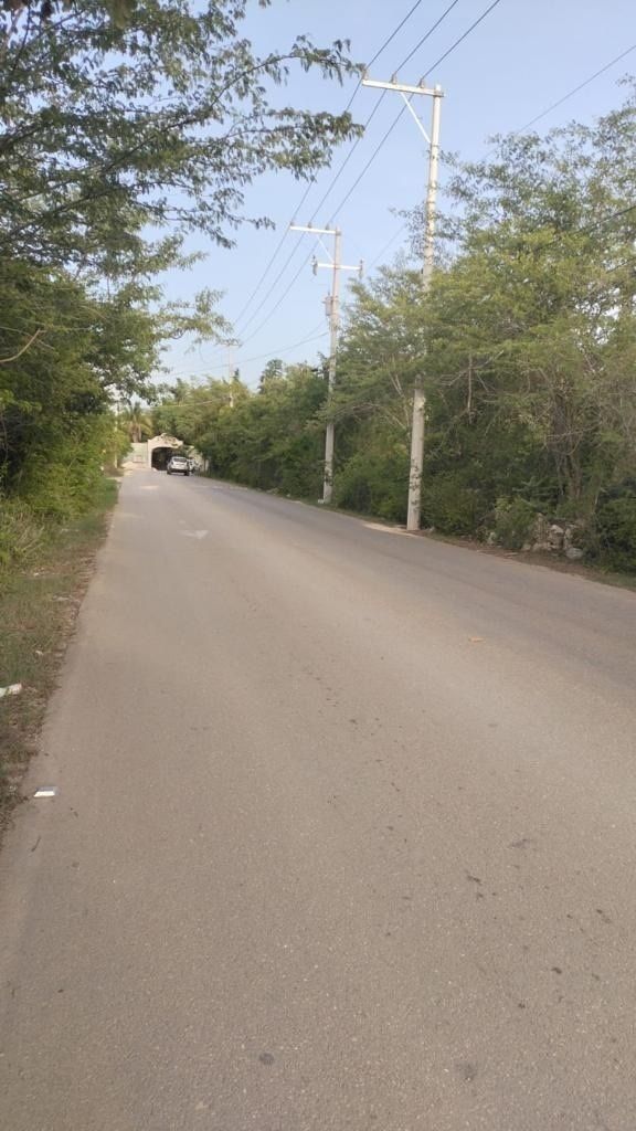 7 de 10