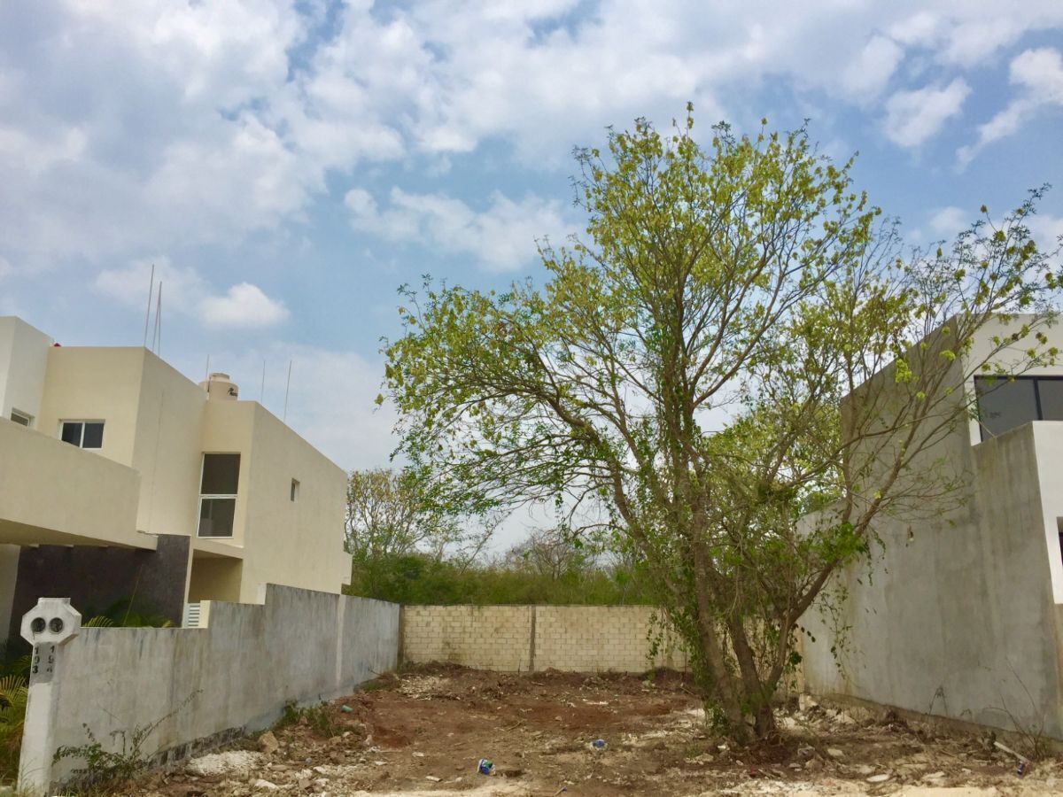 Se vende terreno en privada, 318 m2, con servicios cerca del periférico - foto 1