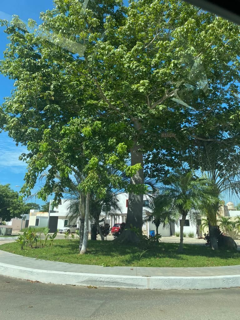 Se vende terreno en privada, 318 m2, con servicios cerca del periférico - foto 4