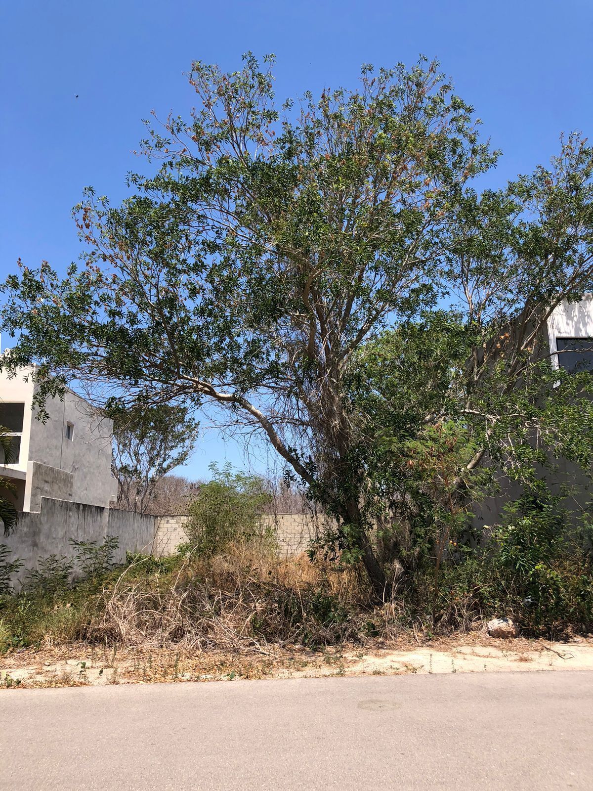 Se vende terreno en privada, 318 m2, con servicios cerca del periférico - foto 2