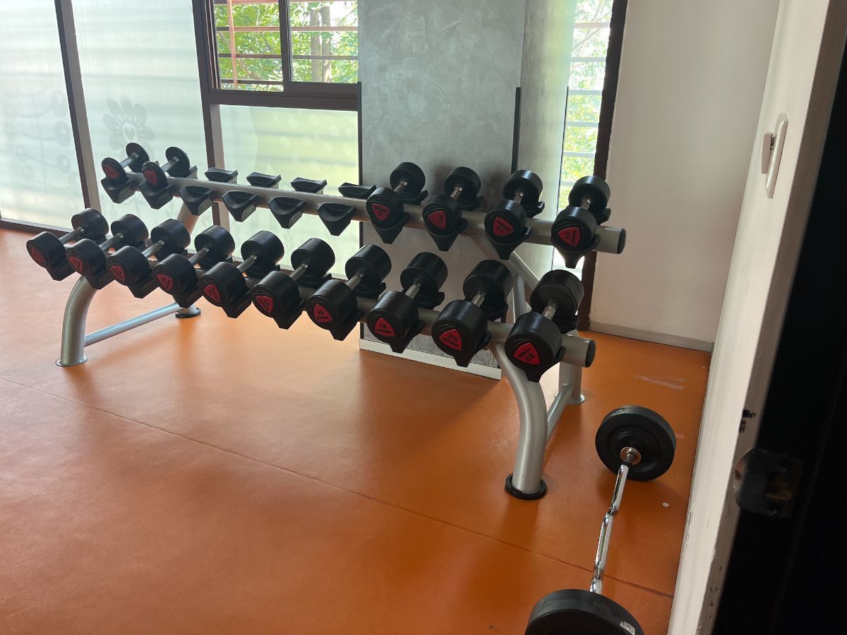 28 de 35: Pesas del gym