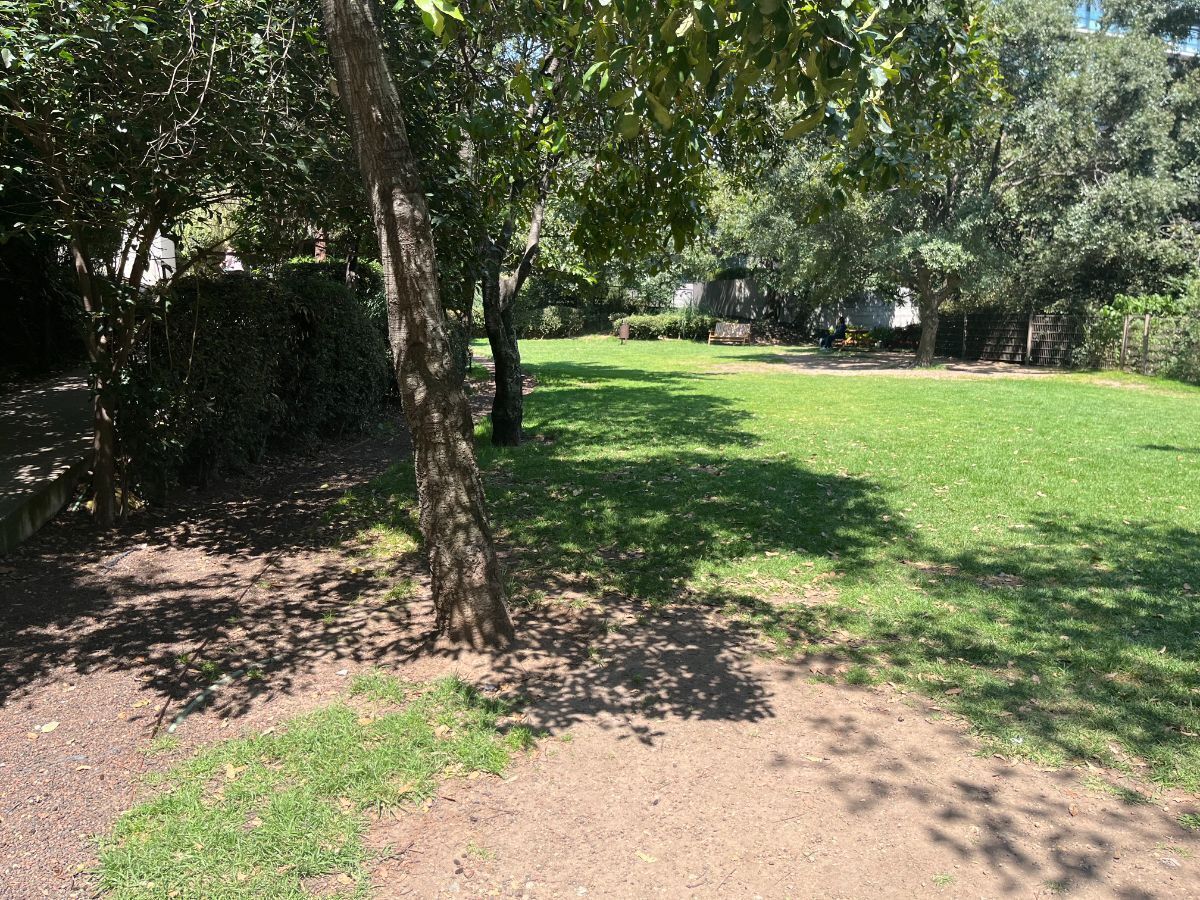31 de 35