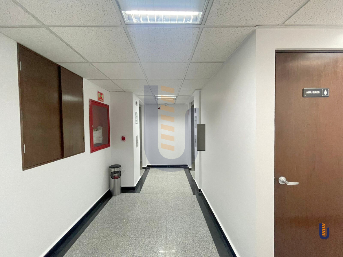 10 de 11: Pasillos a elevadores