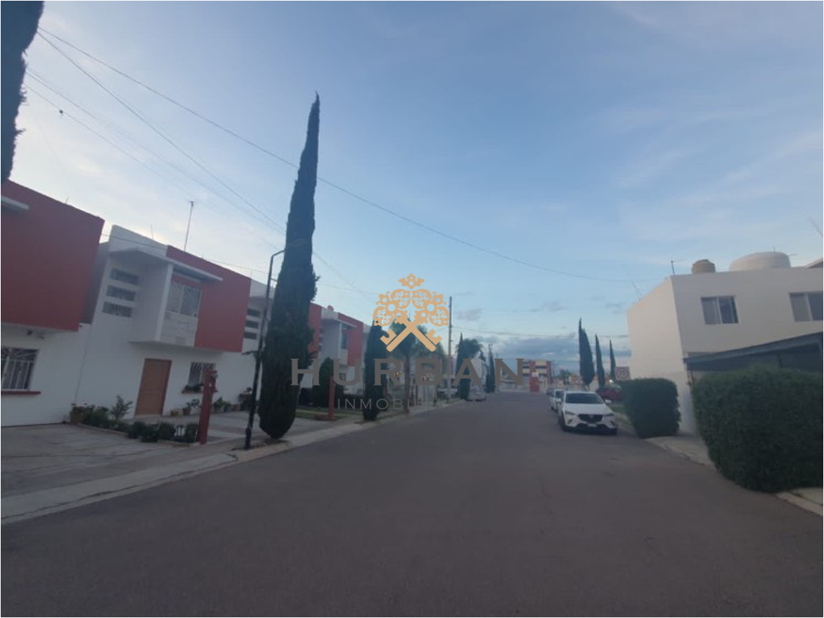 5 de 16