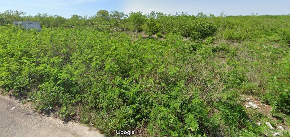 Terreno en Venta en Merida Yucatan, Yaxkukul, Macrolotes