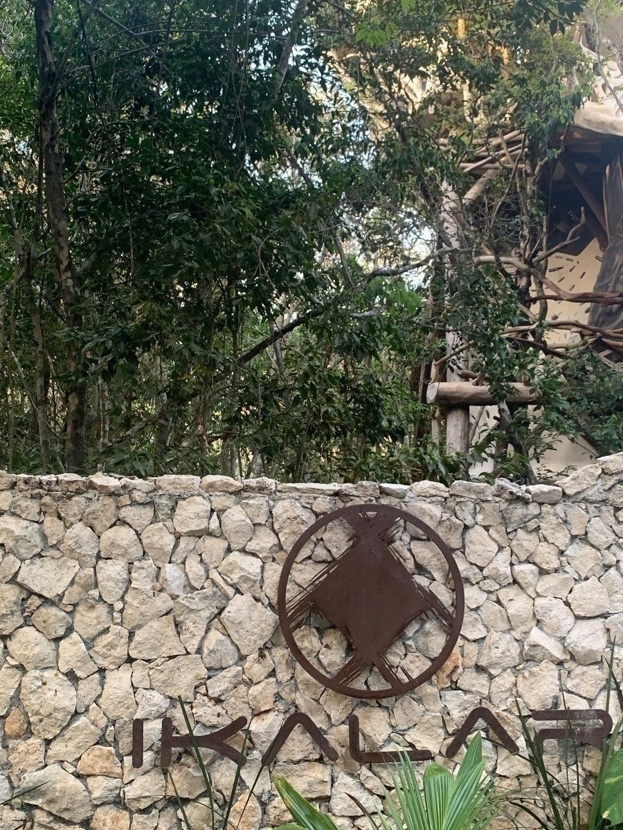 12 de 19: Terreno en venta