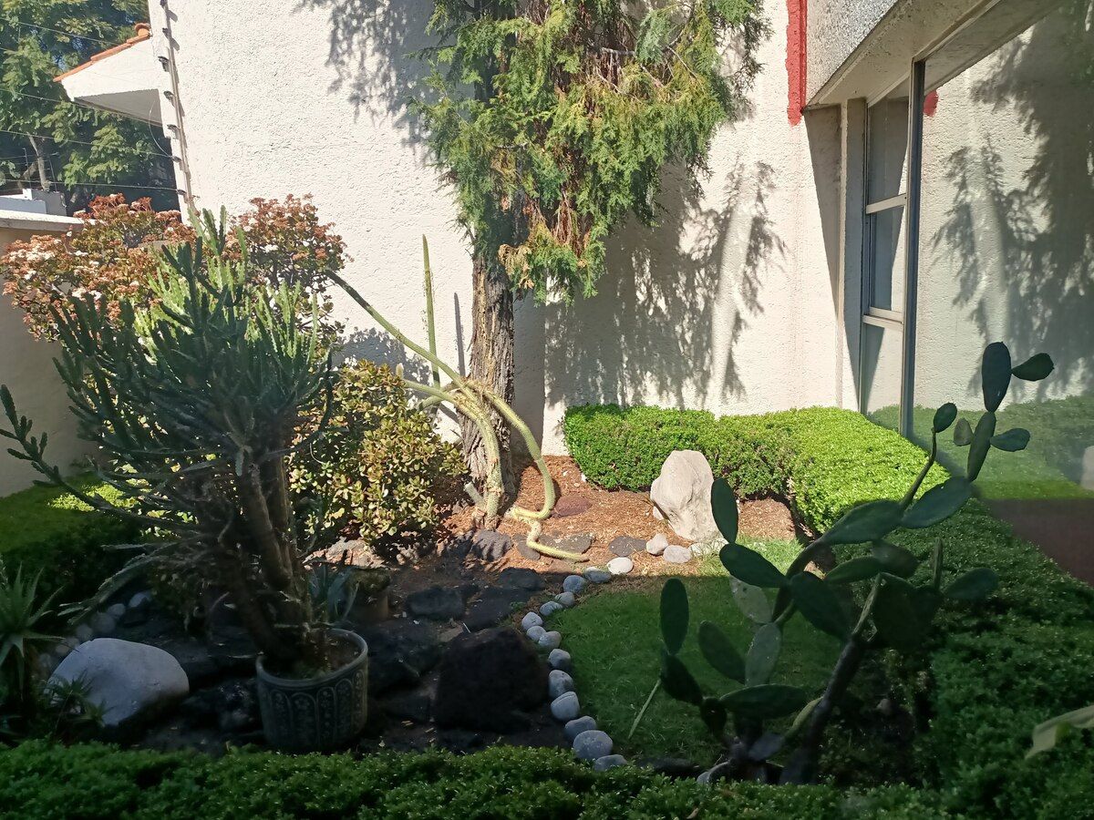 3 de 31