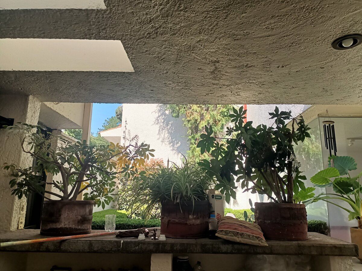 5 de 31