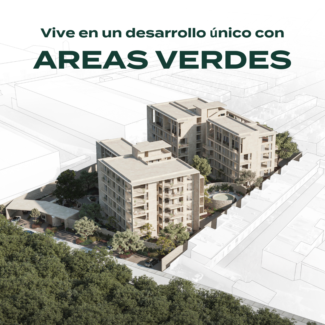 Imagen 2 de 10