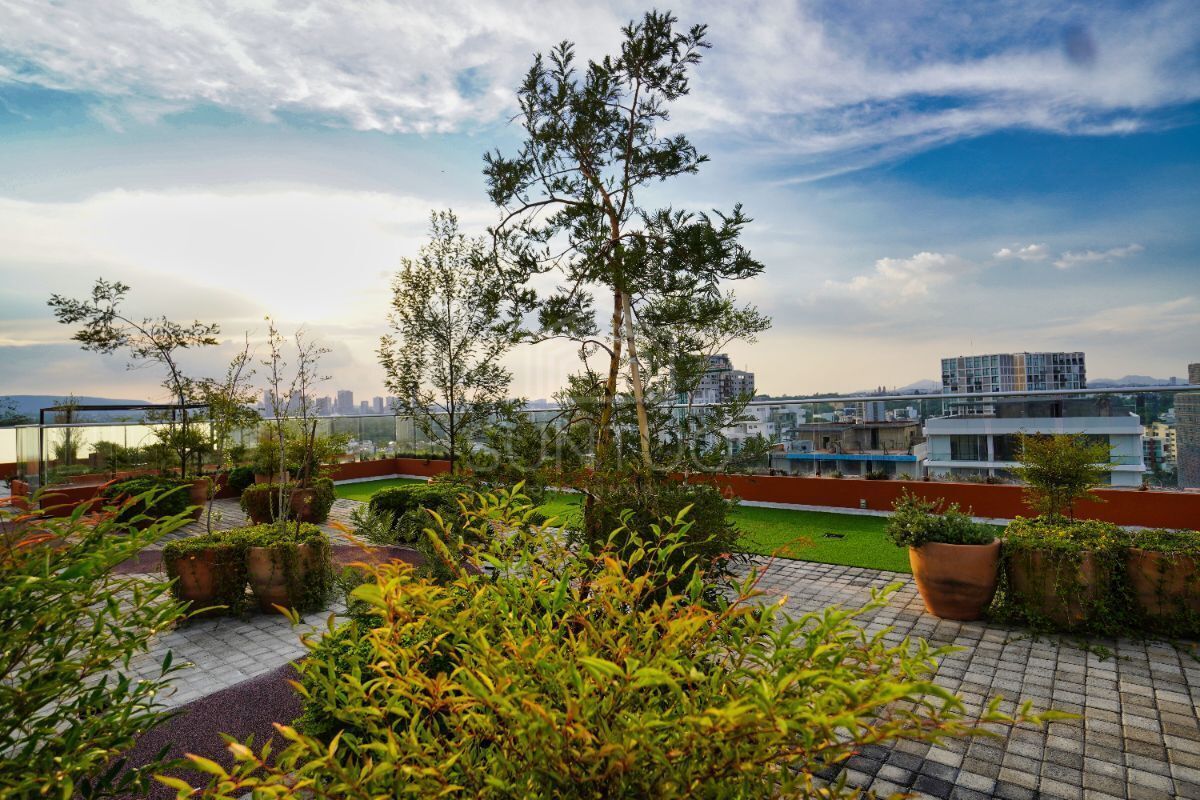 20 de 30: VISTAS ROOF TOP