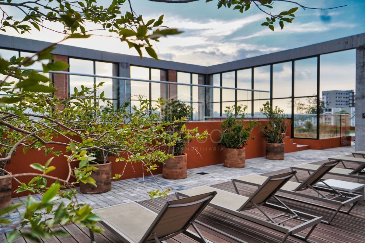 24 de 30: ZONA DE ASOLEADEROS