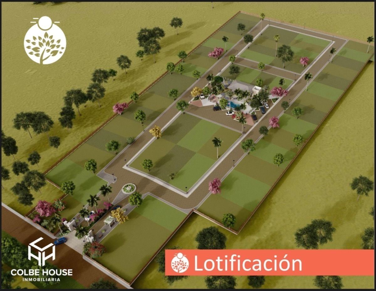 2 de 6
