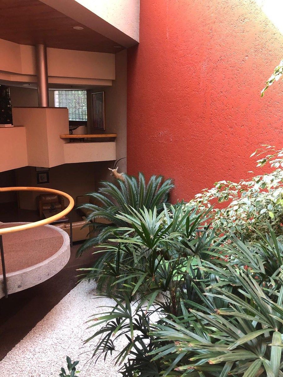 Casa en Parque del Pedregal, Tlalpan, foto 44 de 48