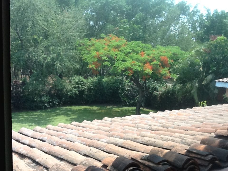 27 de 29