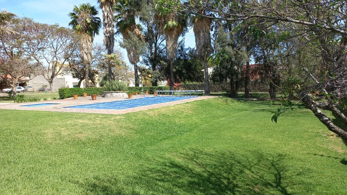 21 de 41: Areas arboladas