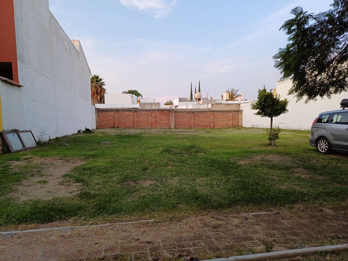 30 de 41: Lote 3