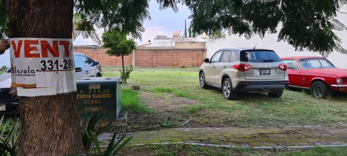 34 de 41: Arbol de entrada al lote