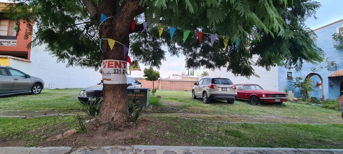 39 de 41: Al fondo los lotes
