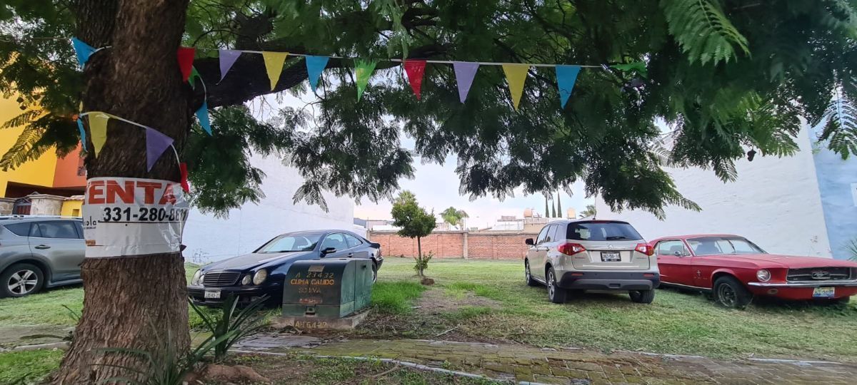 40 de 41: LOte anunciado