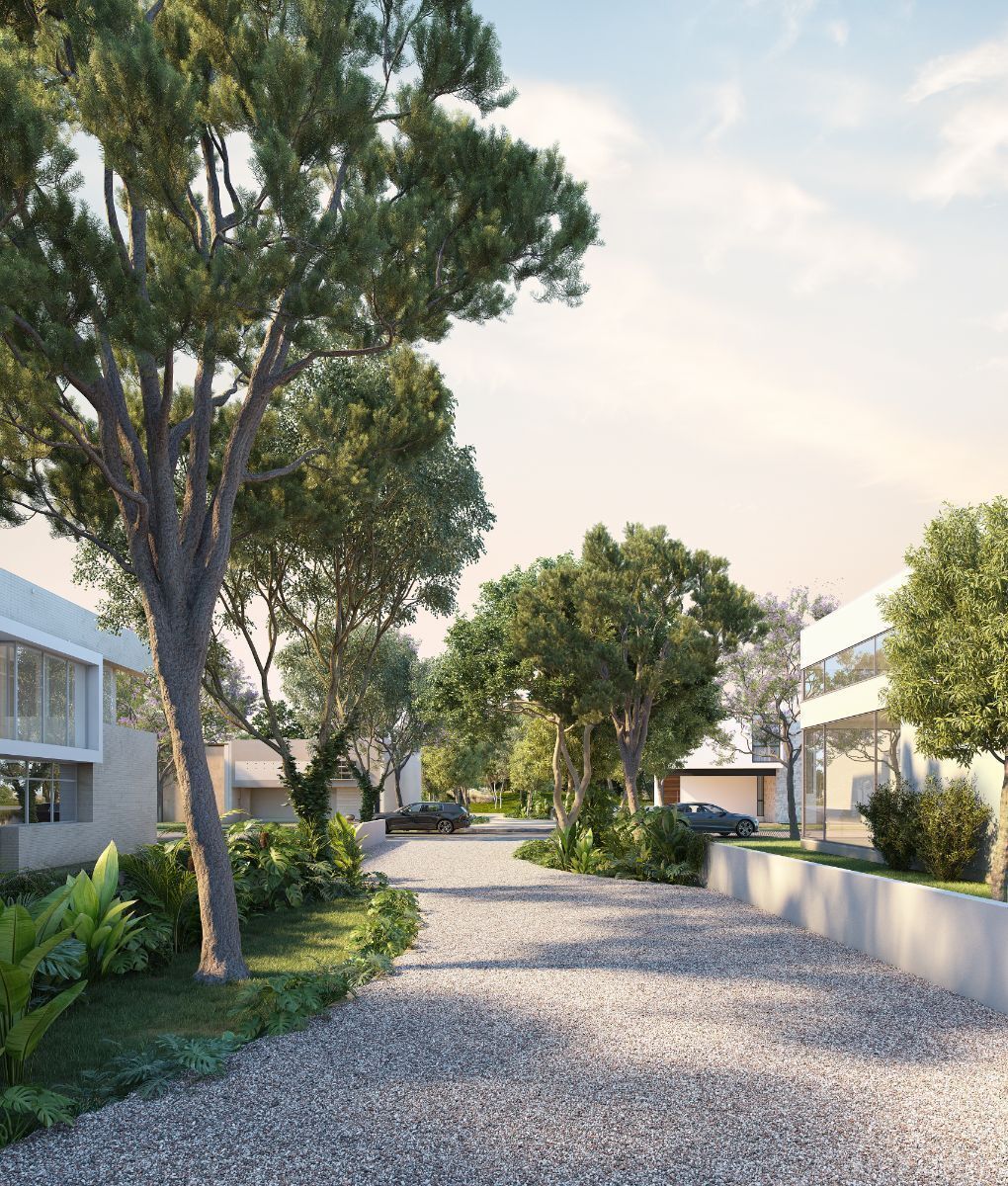 3 de 6: IMAGEN ILUSTRATIVA