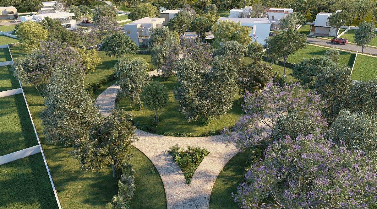 4 de 6: IMAGEN ILUSTRATIVA