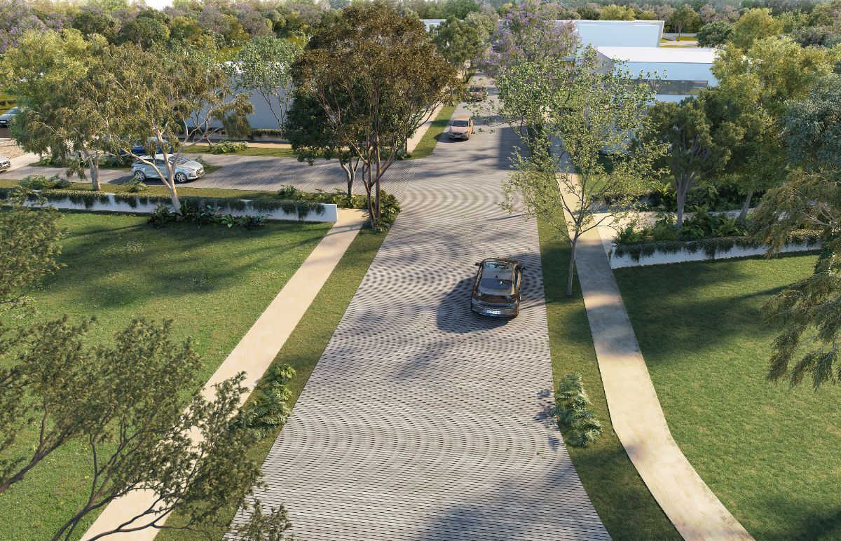 5 de 6: IMAGEN ILUSTRATIVA