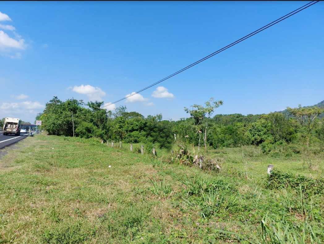Se vende espectacular terreno de 28Ha. A orilla de carretera, Villa Comaltitlán - foto 2