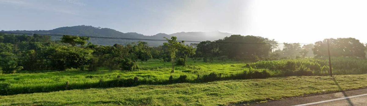 Se vende espectacular terreno de 28Ha. A orilla de carretera, Villa Comaltitlán - foto 4