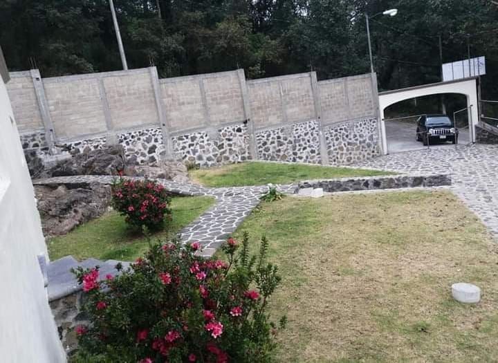 5 de 12