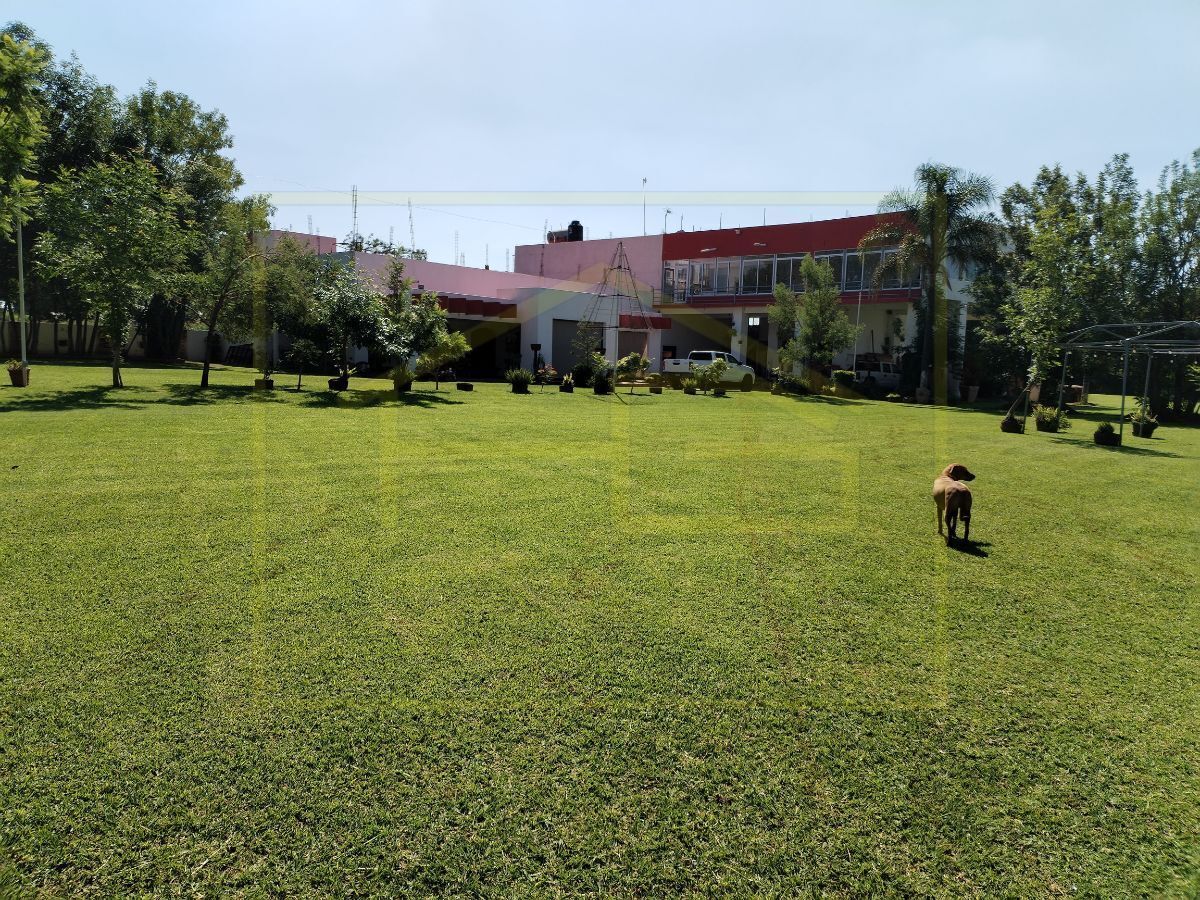 jardin