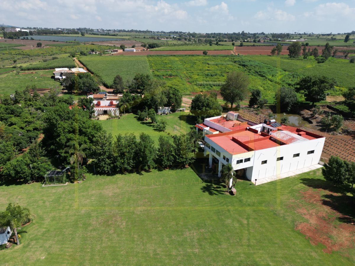 vista lateral