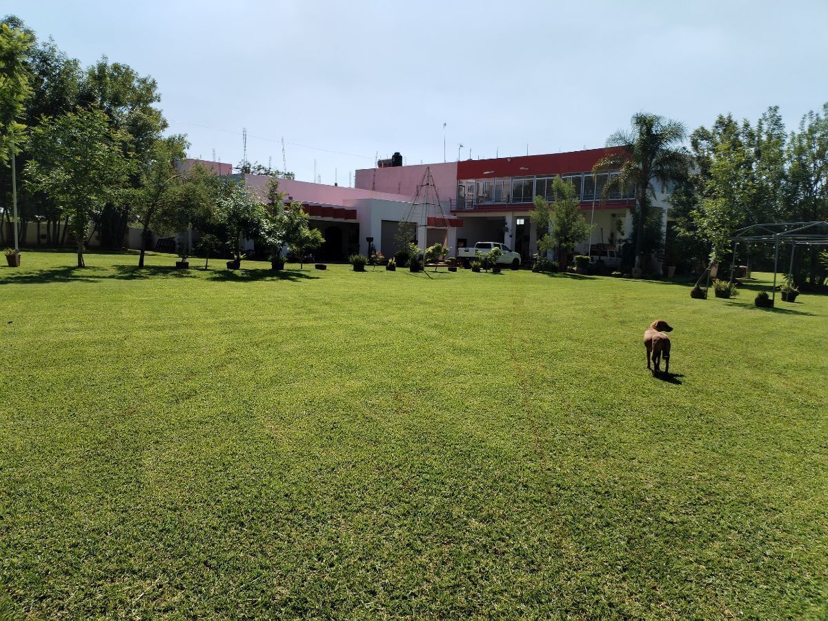 22 de 22: Jardines