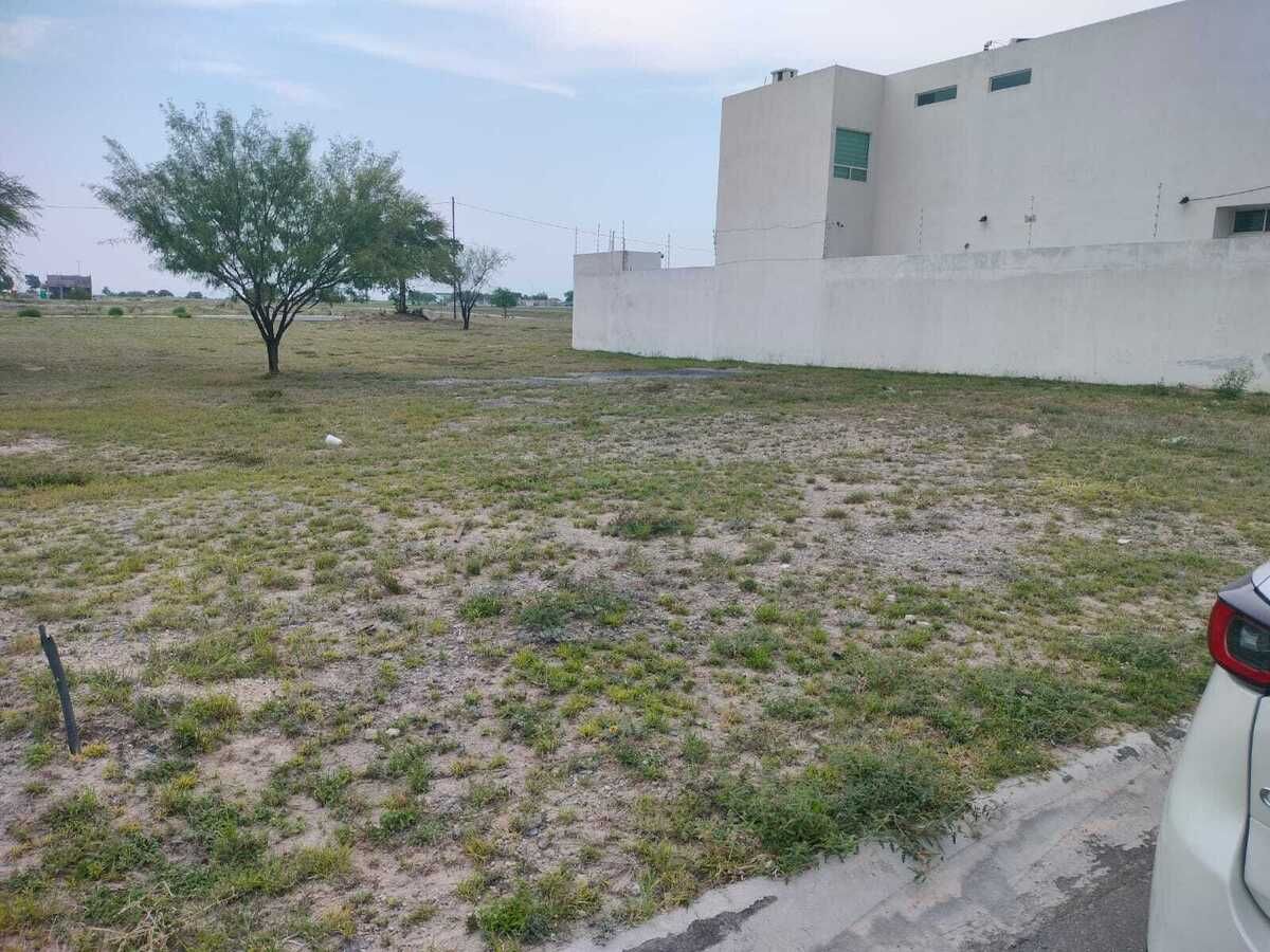 12 de 14