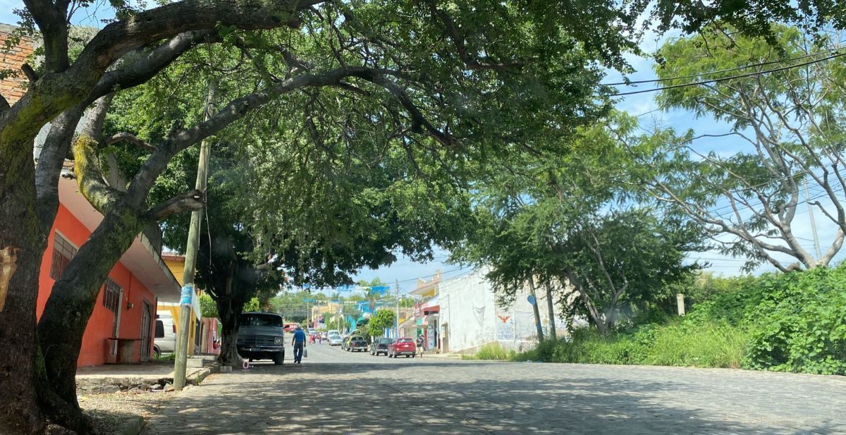 1 de 3