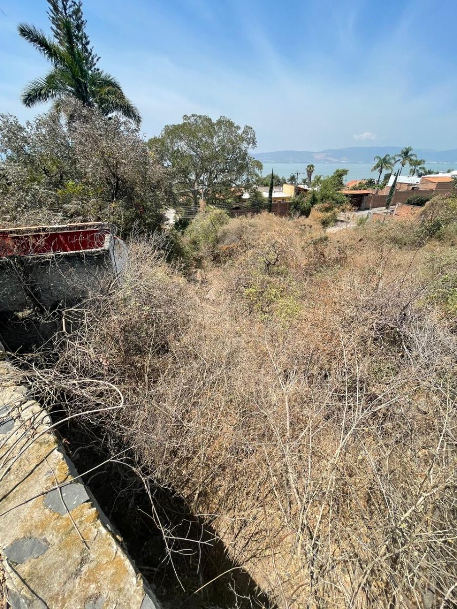 2 of 9: Vista panorámica del terreno