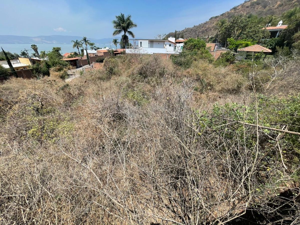 3 of 9: Vista panorámica del terreno