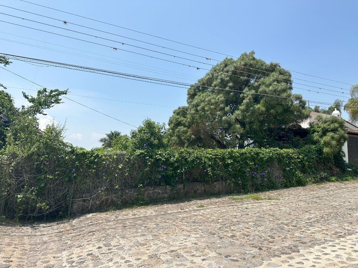 7 of 9: Parte trasera del terreno