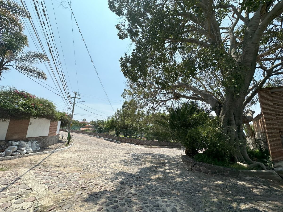 8 of 9: Calle delantera del terreno