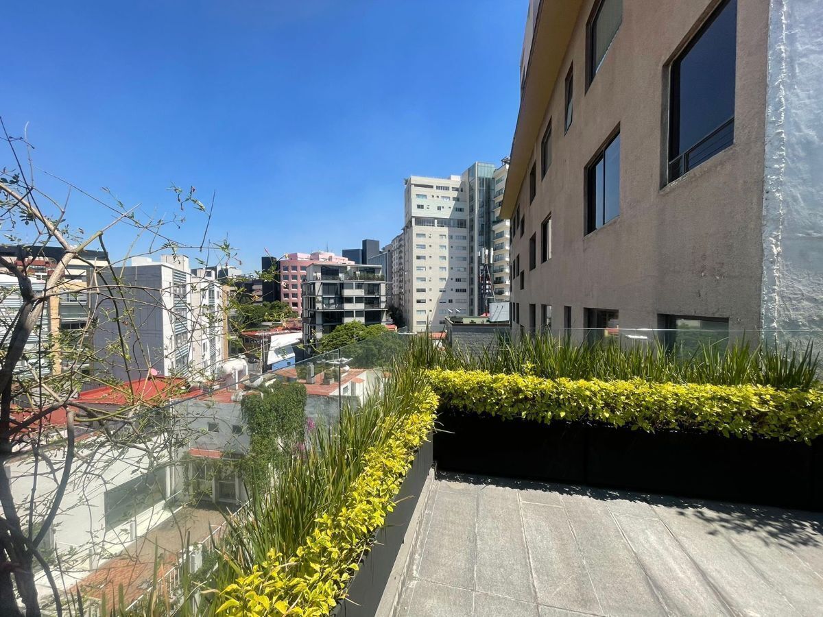 19 de 50
