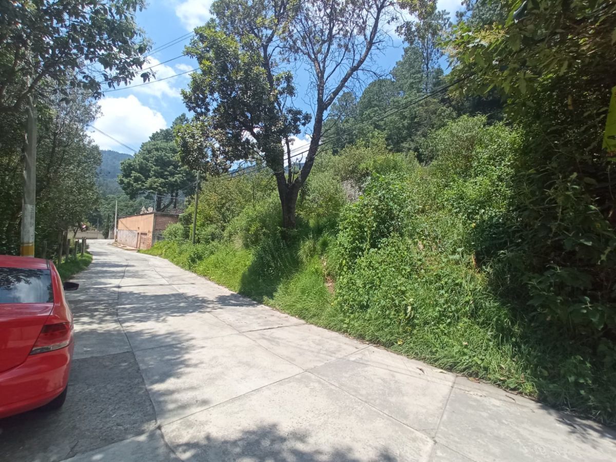 Imagen 9 de 10