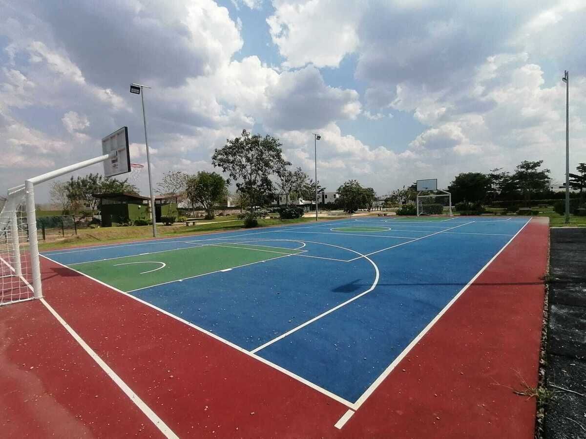 26 de 41