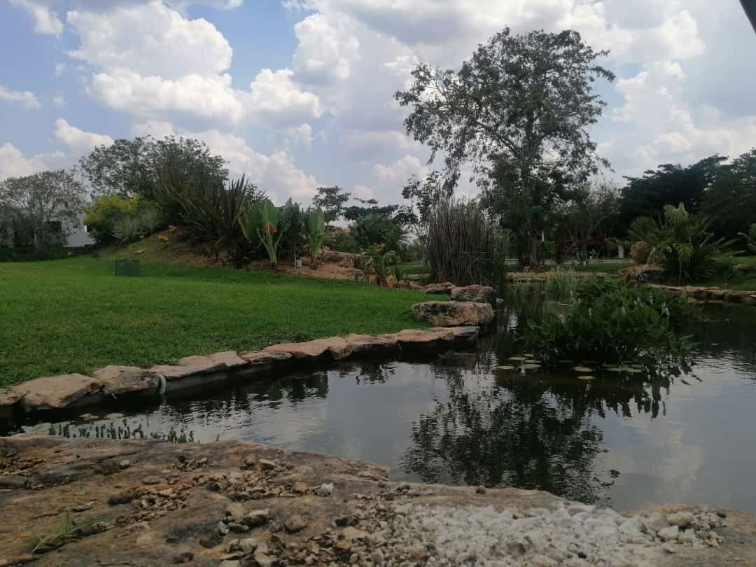 27 de 41