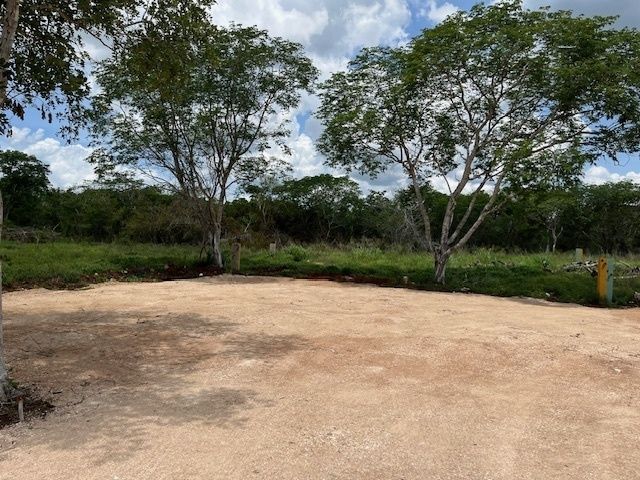 24 de 49