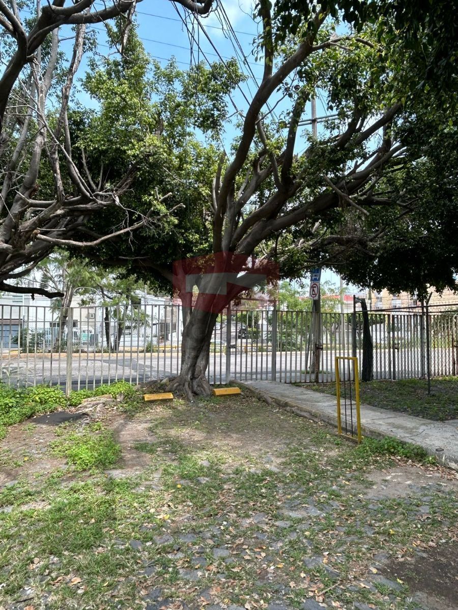 Apartment in Jardines del Country, Guadalajara, photo 18 of 19