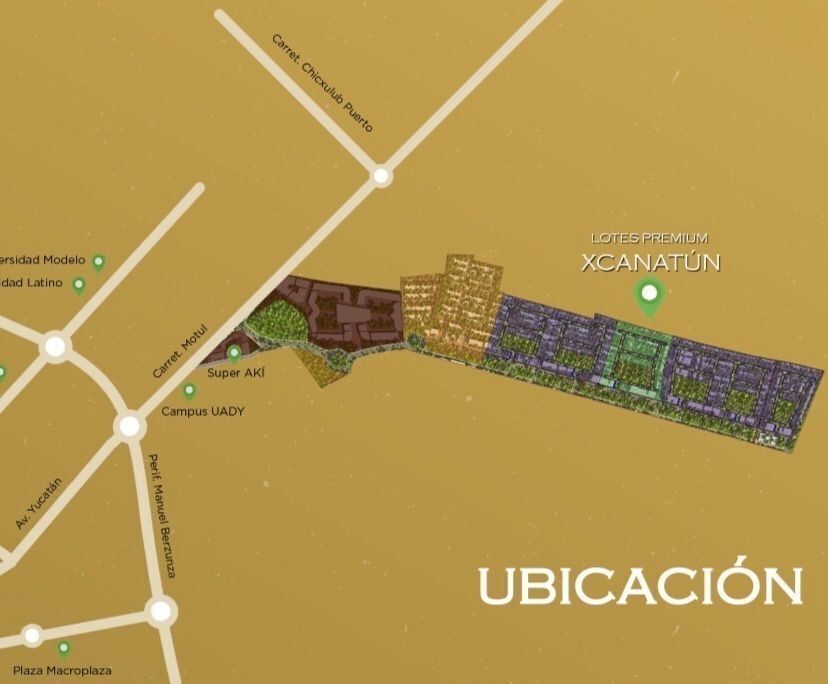 12 de 12