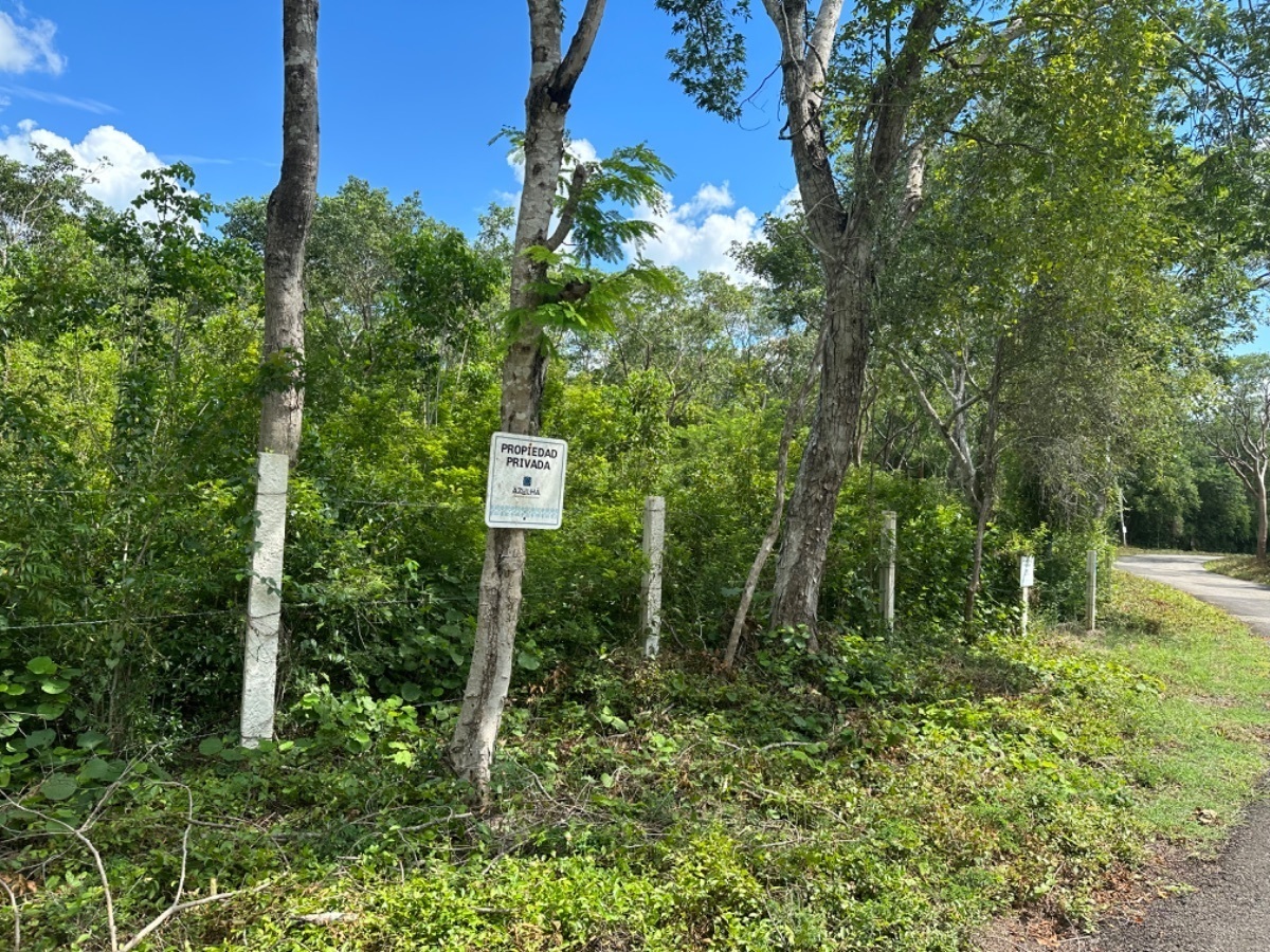 4 de 15: Vista Actual Área delimitada
