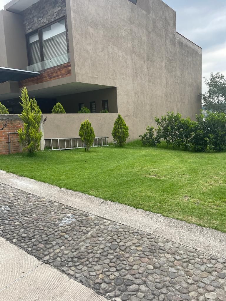 3 de 7