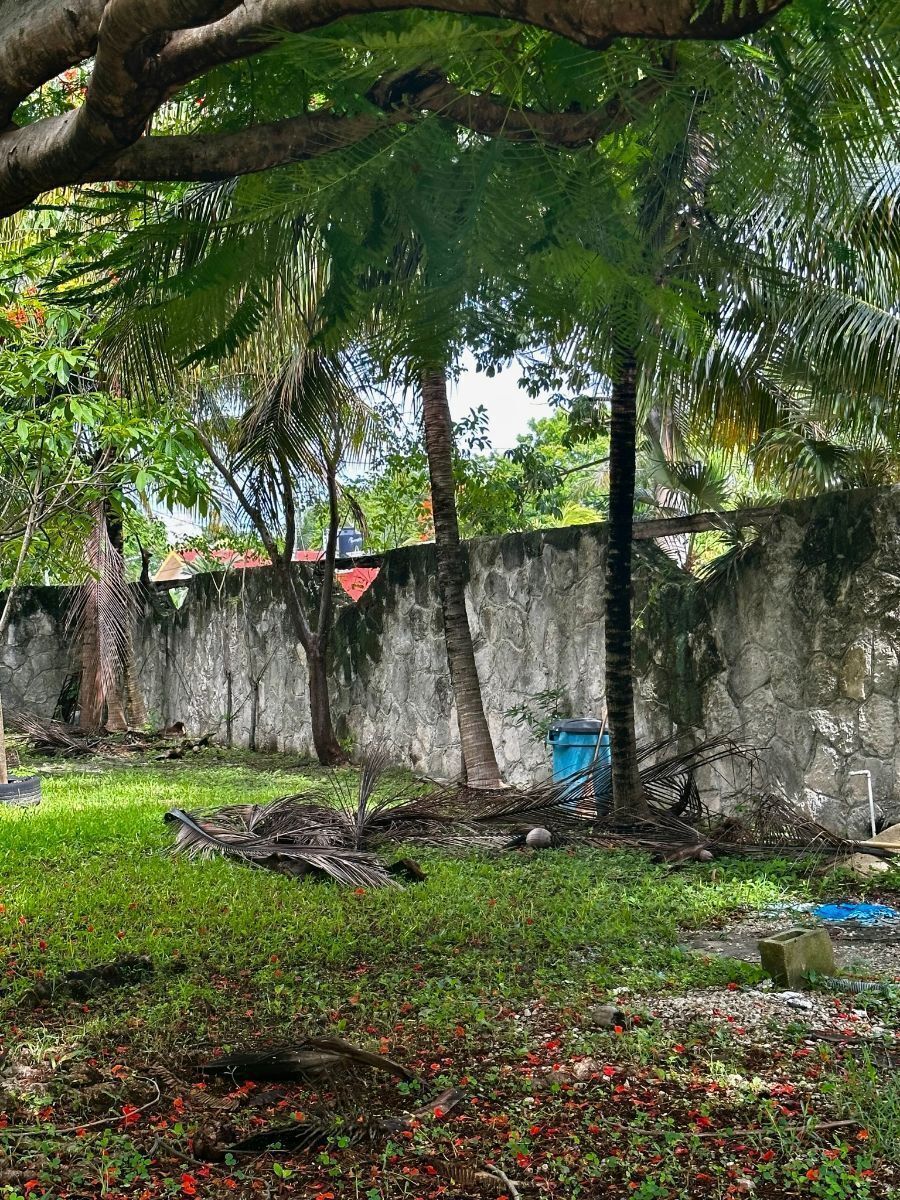 4 de 39